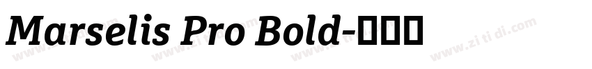 Marselis Pro Bold字体转换